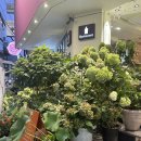 김자매 부엌 | [ 가로수길 ] 가로수길애견동반 가로수길 소개팅 장소로 좋은 자매의 부엌