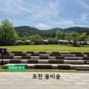 힐링 펫 카페 | [포천 애견동반카페] 애견 운동장 있는 울미숲 카페 펫 그라운드