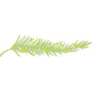 온유치과의원 이미지