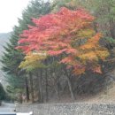 포스코백운산수련원 이미지