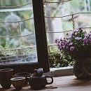 편안몸한의원 이미지