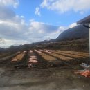 연화오토 이미지