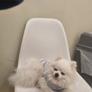 멍캐슬 이미지