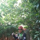 공곶이가는길 이미지