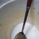세븐일레븐 유성상대센터점 | 매콤 칼칼한 우불식당 즉석우동 먹어본 후기