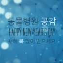 갑을동물병원 네이버블로그
