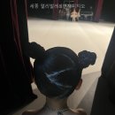 세종 앨리발레&amp;번지피지오 선택 전 먼저 볼 핵심 정보 정리