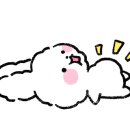 리또 풀빌라 이미지