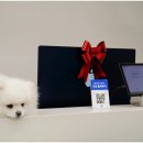 바디채움운동센터 이미지