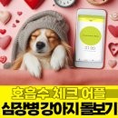 두리틀동물병원 | 강아지 심장병 진단 받았다면 수면 중 분당 호흡수(SSR) 꼭 체크해주세요.