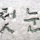 퍼피스타 이미지