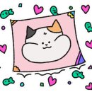 오브닛 이미지