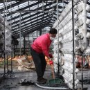 꽃보다예쁜의원 이미지