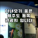 제주도 동쪽 관광지 어린이들과 함께 다녀오기 좋은 해양동물박물관 이미지