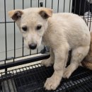 묵현1리 이미지