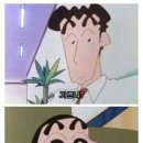 짱아 이미지