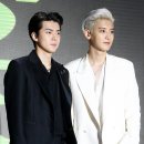 세훈 카카오 검색결과