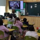 일월초등학교 이미지