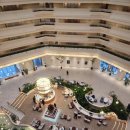 (주)호텔하나 | 파르나스 호텔 제주 수영장 , 디럭스트윈 숙박후기