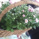 다연부동산공인중개사사무소 이미지