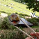 포레스트 김밥 이미지