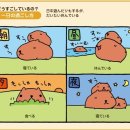 바라 이미지