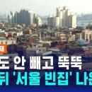 서울빈 이미지