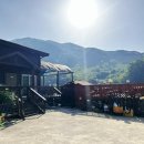 섬진강 솔밭이 보이는 풍경 이미지