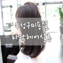라담헤어살롱 | [대구미용실/수성구미용실] 라담헤어살롱 시세이도 플래티늄매트 톤다운 염색후기 by.나희쌤