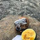 화개초등학교왕성분교장 이미지