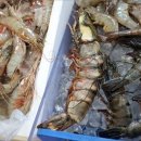 안면도수산시장 이미지