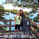 제주다정여행사 이미지