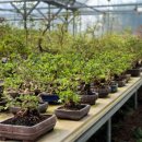 수광농장 이미지