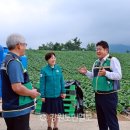 태백축산 이미지