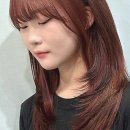 현대하이페리온2 205동 앞 이미지