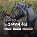 에코창환경 | 피콜로카네 에코 그레이 5년 사용 후기, 강아지 유모차 장단점 솔직 리뷰