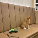 11500-5-55-12 이미지