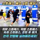 신화헬스클럽 | 즐기는 복싱 , HBT복싱클럽입니다!:분평동복싱:성화동...운동:성화동운동:분평동헬스:성화동헬스:킥복싱