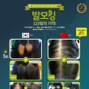 닥터스칼프분당 - 성남시 분당구 돌마로 75 | 닥터스칼프분당