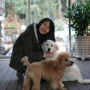 노노레타 이미지