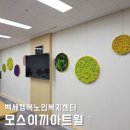엽치읍 행복복지센터 | 스칸디아모스 인테리어, 이끼 실내 벽면연출! 백세행복노인복지센터 아트월