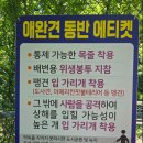 대방체육공원 테니스장