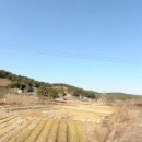 153부동산공인중개사사무소 이미지