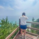 엠엔알코리아 | 강릉 2박3일 여행코스 여름휴가추천 강릉 실내 가볼만한곳