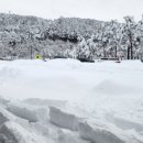 강릉대관령(강릉)휴게소 이미지