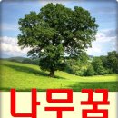 행운나무복권 이미지