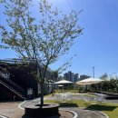 청석주유소 이미지