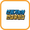 강남구도시관리공단노동조합 | 🌲산림기능사 현실 총정리: 취업, 연봉, 합격률까지!💼