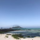 미가(美家) 이미지