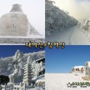 12/24[일]함백산+태백산 (1일2산) 눈꽃산행-산행안내/좌석표 이미지